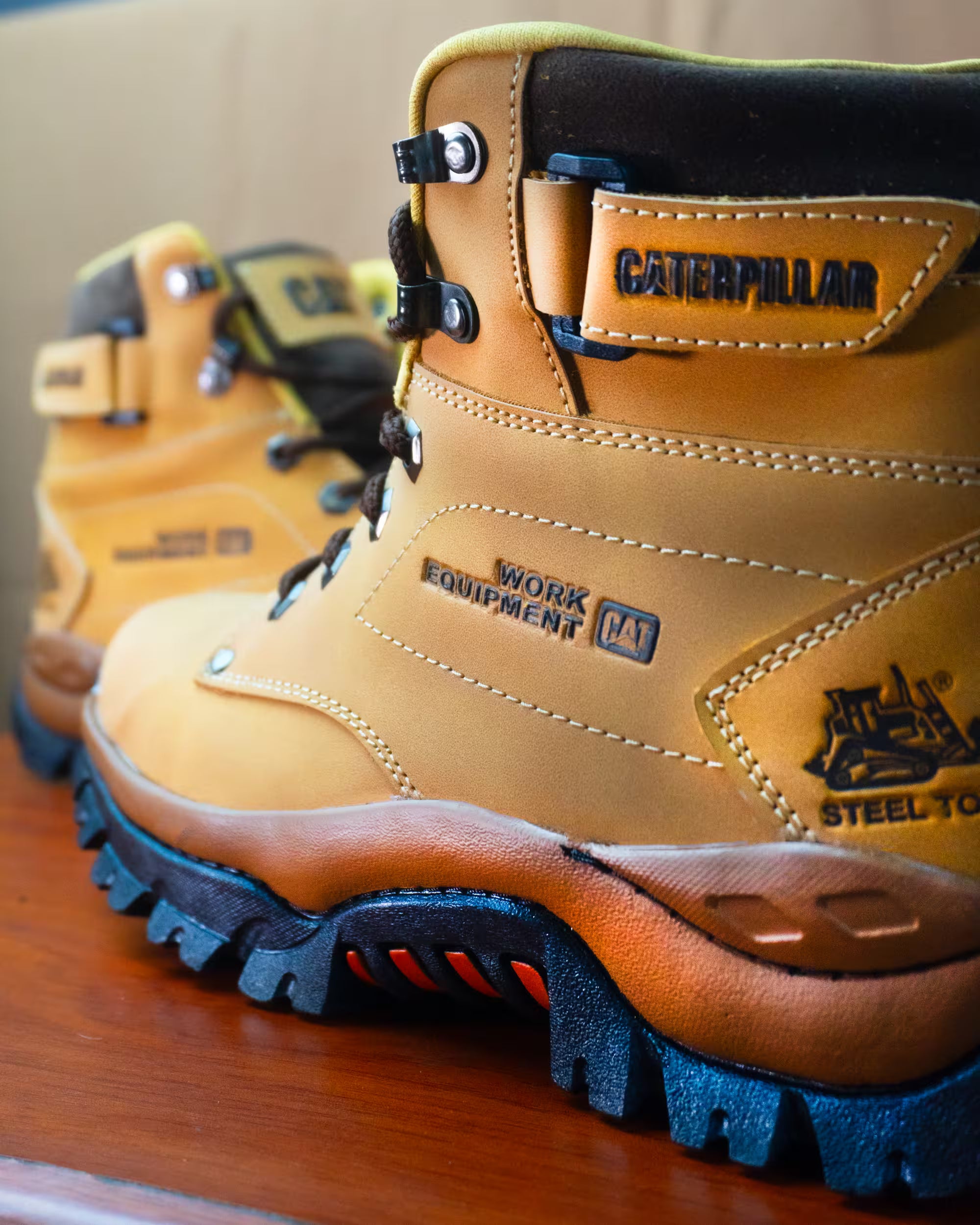 COLECCIÓN PREMIUM CAT ROAD